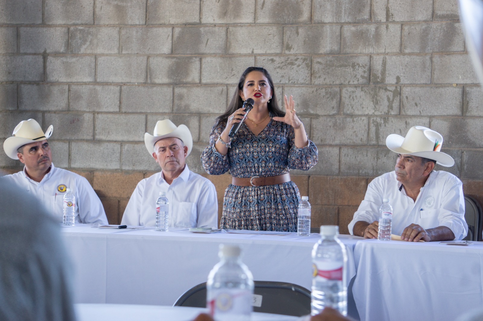 Por instrucción del Gobernador Durazo nos reunimos con AGL del sur para juntos afrontar la situación de productores: Celida López